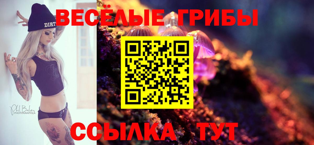 Галлюциногенные грибы MAGIC MUSHROOMS Горно-Алтайск